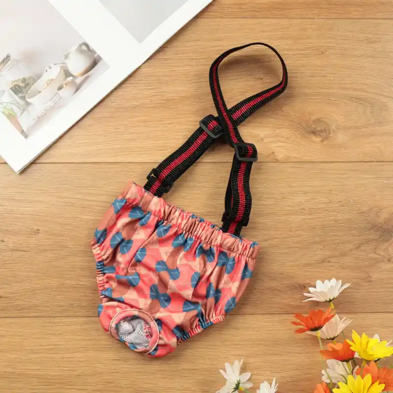 dog-pants-915-1525- (7)